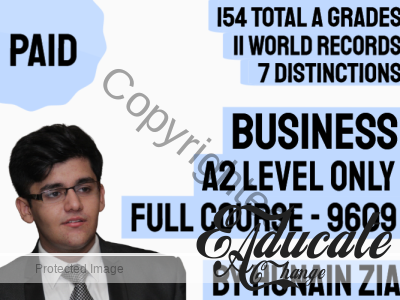 Business (9609)- A2 Level ONLY (NOT AS) – Full Scale Course